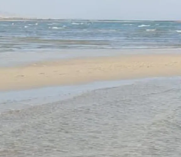 لاسيرينا بالم بيتش للعائلات